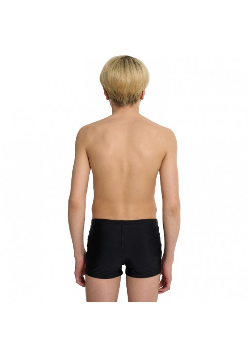 Slipi-sorti Speedo PLMT PRNT ASHT JM