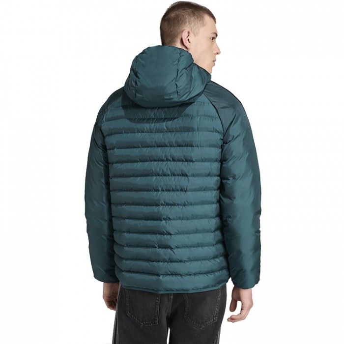 Scurta Adidas PAD HOODED JKT JX4116 - 2