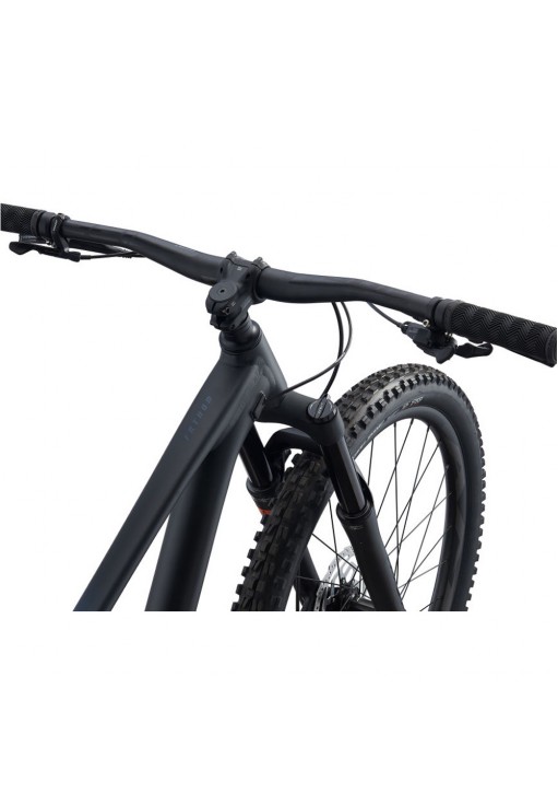 Bicicleta de munte Giant Fathom 29 2