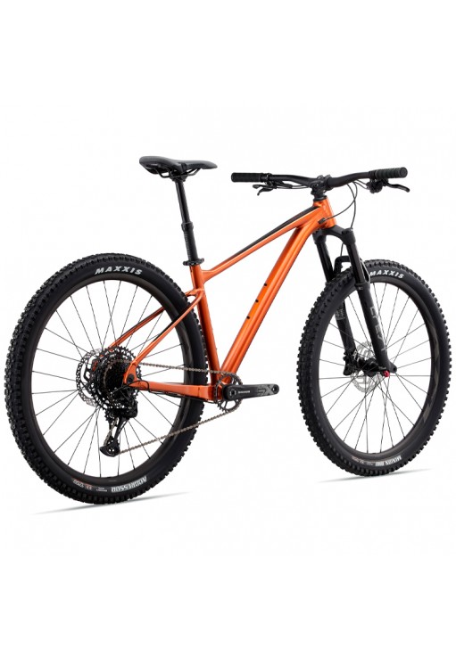 Bicicleta profesional Giant Fathom 29 1