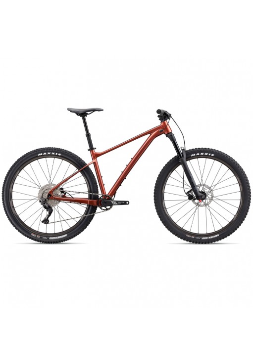 Bicicleta profesional Giant Fathom 29 2