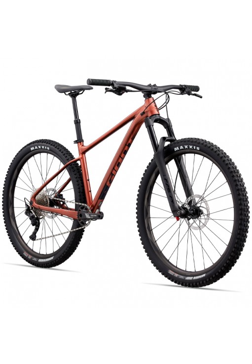 Bicicleta profesional Giant Fathom 29 2