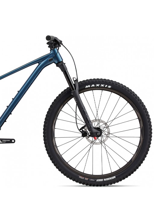 Bicicleta profesional Giant Fathom 29 2