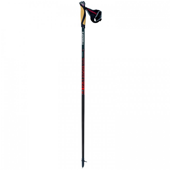 Bete nordic walking Masters PHYSIQUE 0.8 CARBON 01N0119