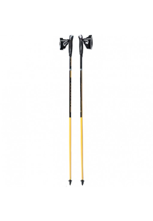 Bete nordic walking Masters PHYSIQUE 0.1 CARBON