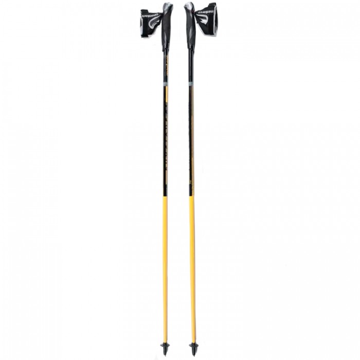 Bete nordic walking Masters PHYSIQUE 0.1 CARBON 01N0319