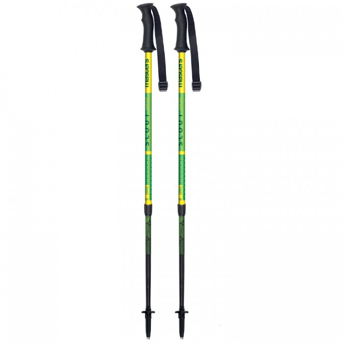 Bete telescopice Masters Trekking Poles 01S5219