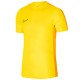 Футболка Nike Y NK DF ACD23 TOP SS DR1343-719