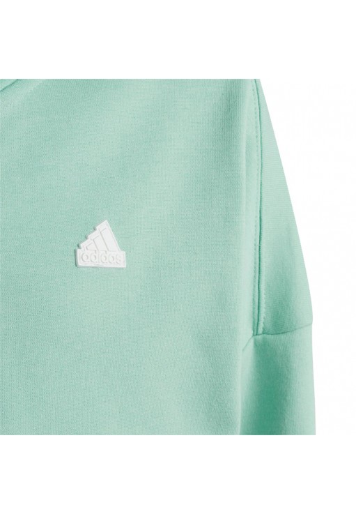 Толстовка Adidas U FI 3S FZ HD