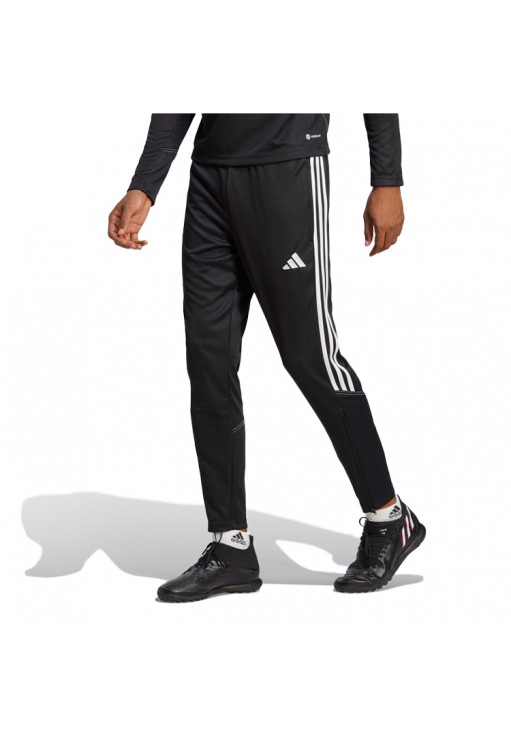Брюки Adidas TIRO23 CB TRPNT