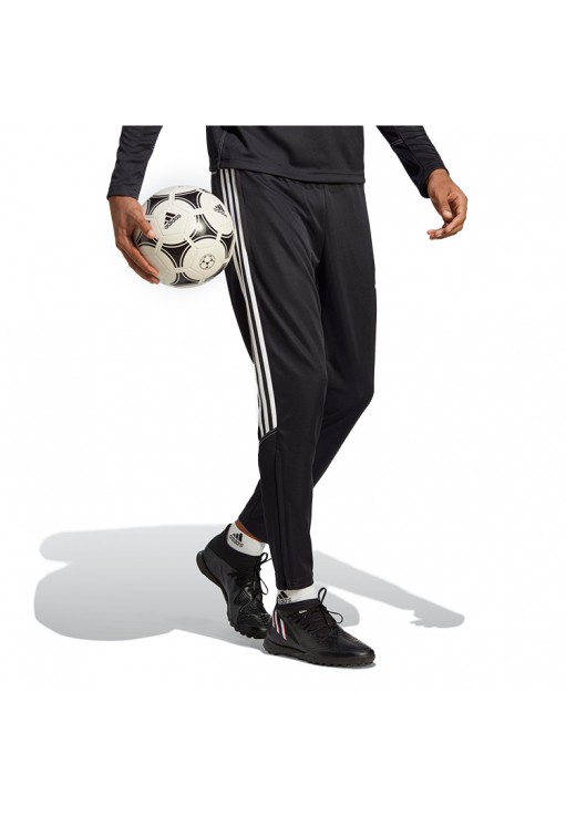 Брюки Adidas TIRO23 CB TRPNT