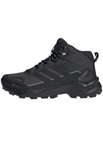 Ботинки Adidas TERREX SKYCHASER AX5 MID GTX W