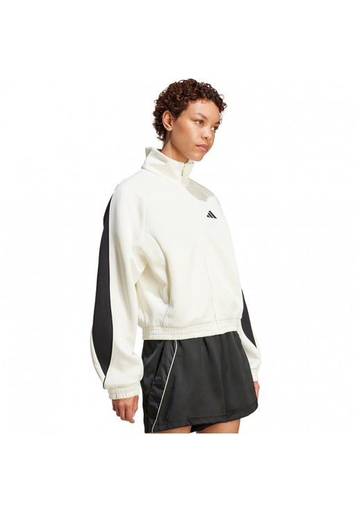 Толстовка Adidas W STADIUM TT