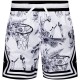 Шорты Nike JDB MJ AOP SPORT DIAMOND SHORT 95D429-W1X