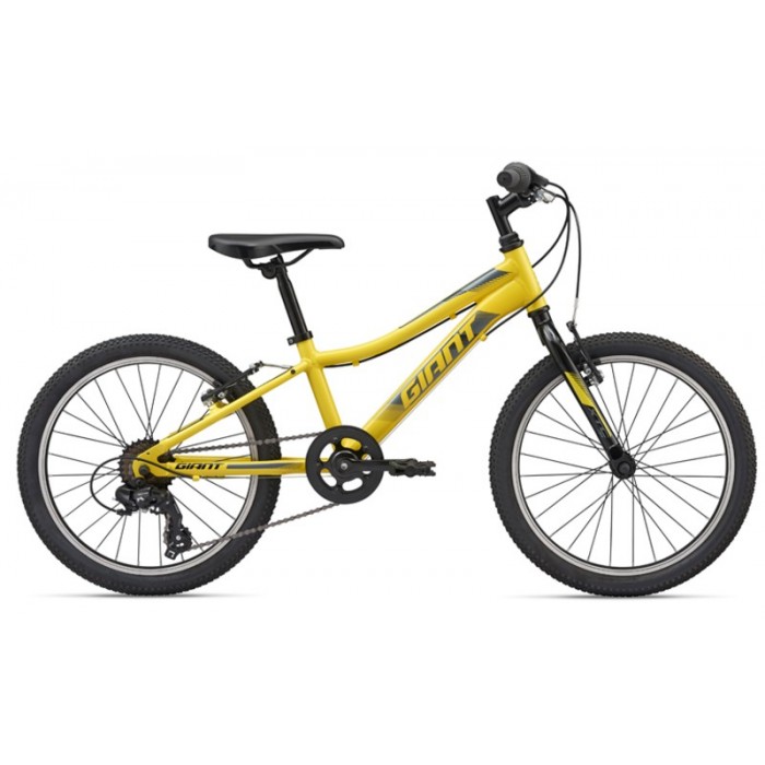 Bicicleta p/u copii Giant XTC 2004007220