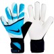 Перчатки вратарские Nike NK GK MATCH FJ4862-420