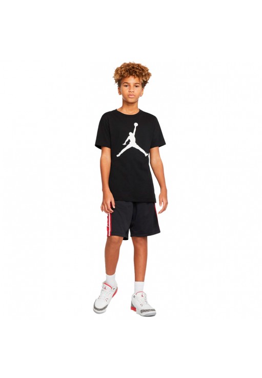 Шорты Nike AIR JORDAN HBR BBALL SHORT