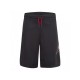 Шорты Nike JUMPMAN BIG AIR MESH SHORT 95B219-023