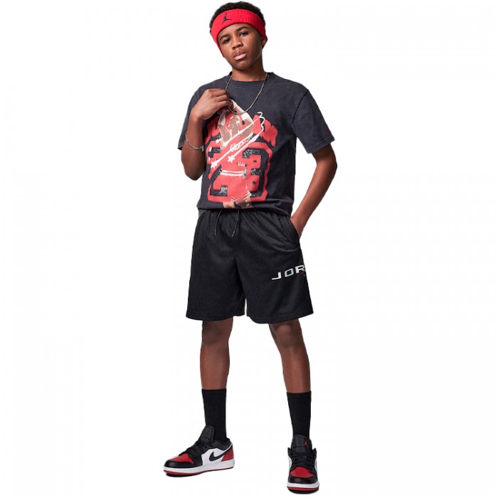 Шорты Nike JDB MJ BASELINE MESH SHORT 95D667-023 - 5