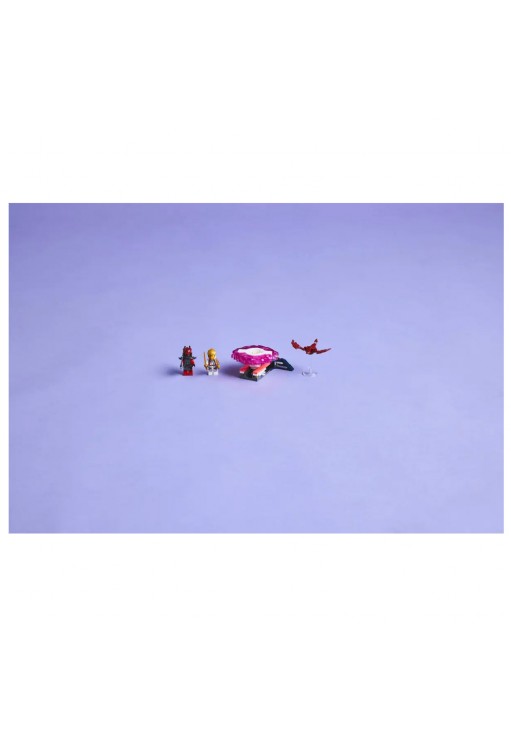 Constructor Lego 71824