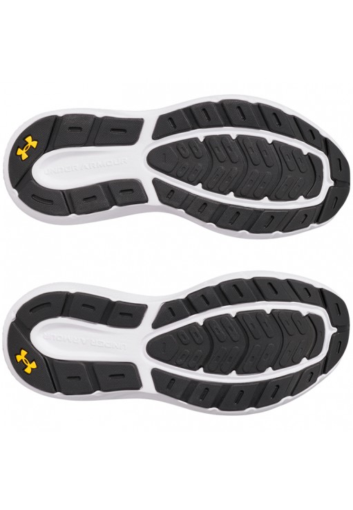 Incaltaminte Sport Under Armour UA Charged Rogue 5