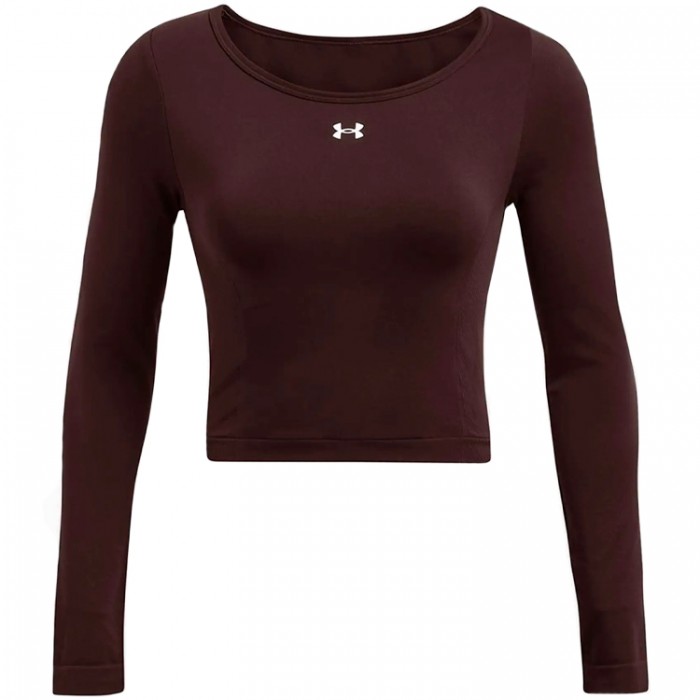 Толстовка Under Armour UA Vanish Seamless LS 1379150-227