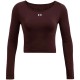 Толстовка Under Armour UA Vanish Seamless LS 1379150-227