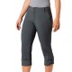 Брюки Columbia Silver Ridge 2.0 Pant 1842131-028
