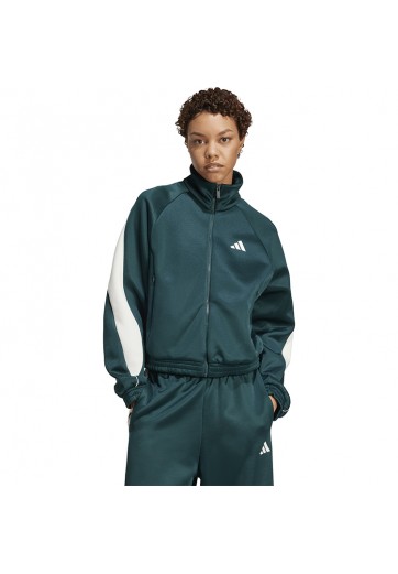 Толстовка Adidas W STADIUM TT