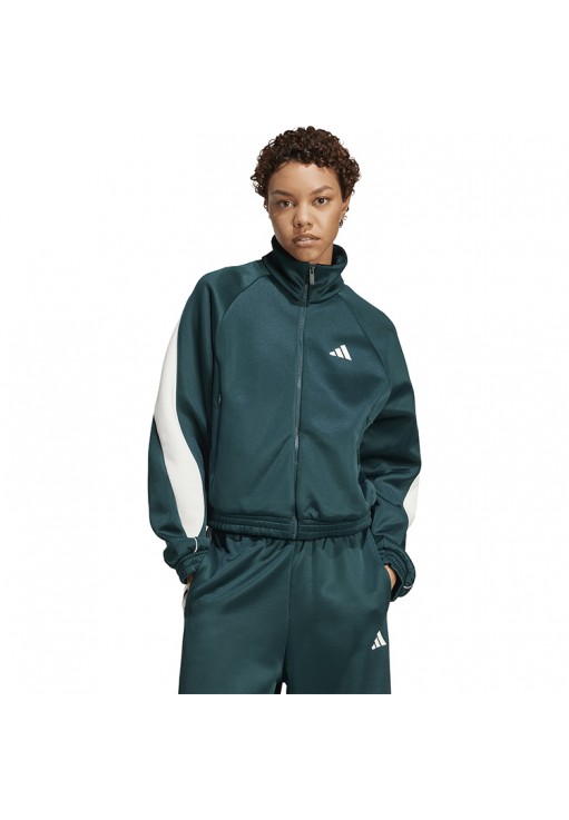 Толстовка Adidas W STADIUM TT