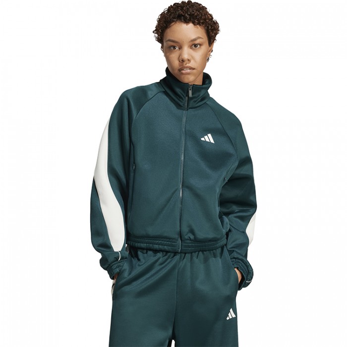 Толстовка Adidas W STADIUM TT JW0528