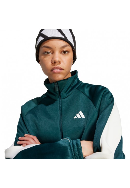 Толстовка Adidas W STADIUM TT