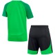 Set tricou + sorti Nike LK NK DF ACDPR TRN KIT K DH9484-329 - 2