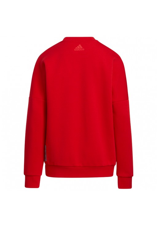 Hanorac Adidas JK CNY SP CREW