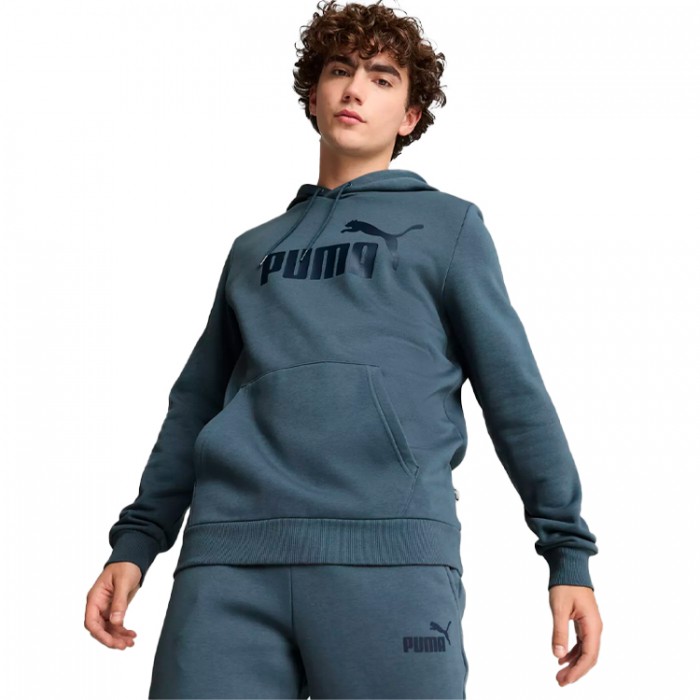 Толстовка Puma ESS Big Logo Hoodie FL 58668730