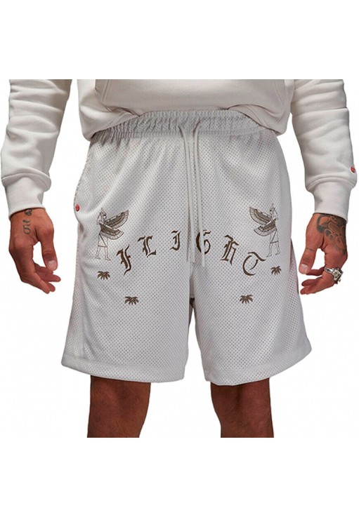 Шорты Nike M J FLT ARTST SRS MESH SHORT
