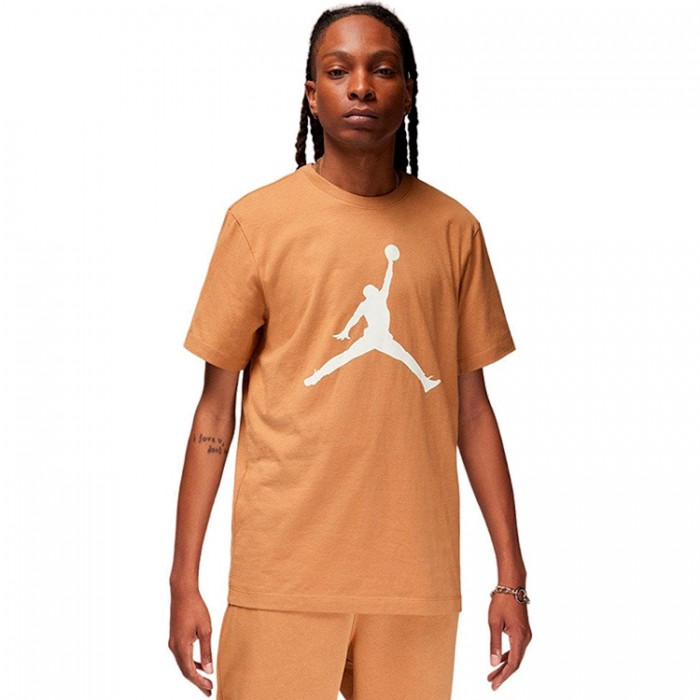 Футболка Nike M J JUMPMAN SS CREW CJ0921-231