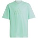 Футболка Adidas U FI LOGO T IC9532
