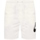 Шорты Nike M NK CLUB ALUMNI FT SHORT FQ4950-133