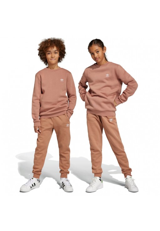 Брюки Adidas PANTS