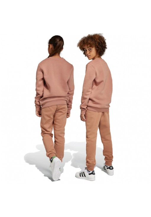 Брюки Adidas PANTS