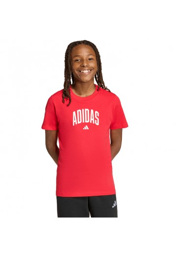 Футболка Adidas Collegiate Graphic