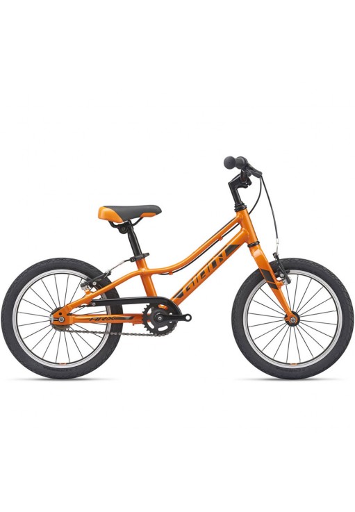 Bicicleta p/u copii Giant ARX F/W
