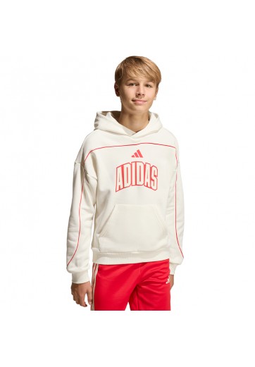 Толстовка Adidas STADIUM HOODY