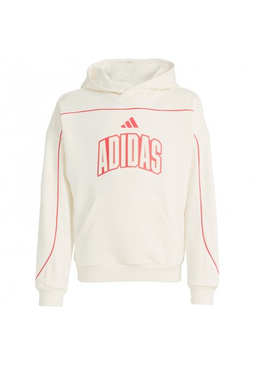 Толстовка Adidas STADIUM HOODY