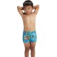 Плавки-шорты Speedo LTS ALV ASHT IM 8-00323118238