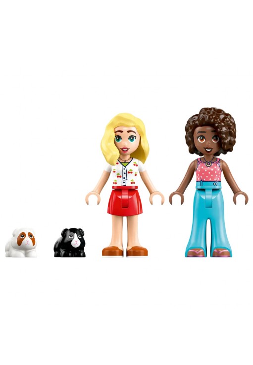 Constructor Lego 42640