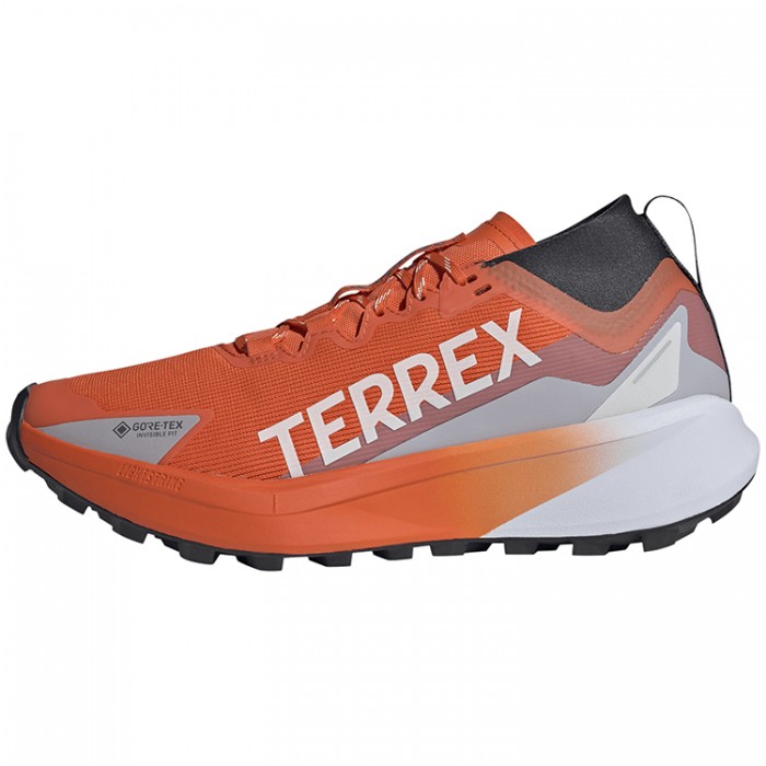 Кроссовки Adidas Terrex Agravic GTX JR5241