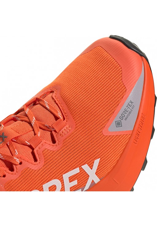 Кроссовки Adidas Terrex Agravic GTX