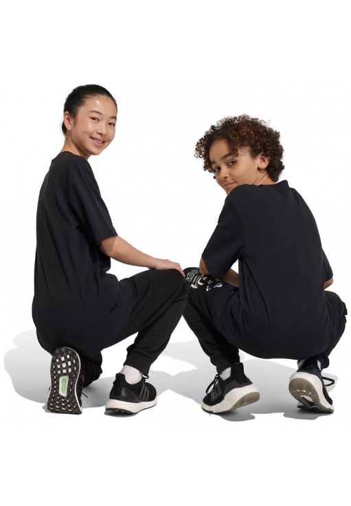 Футболка Adidas U FI LOGO T